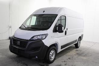 Vrakbiler auto Fiat Ducato  2021/9