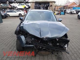 Skoda Karoq Karoq, SUV, 2017 1.0 TSI 12V picture 2