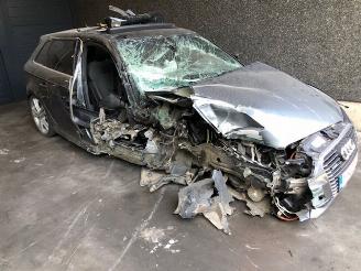 Dezmembrări autoturisme Audi A3 E-TRON HYBRIDE - 1400CC - 110KW - EURO6B - 2015/1