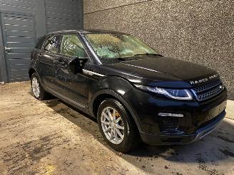 Land Rover Range Rover Evoque EVOQUE (LVJ/LVS) SUV 2018 2.0 D 150 16V SUV  Diesel 1.999cc 110kW (150pk) 4x4 picture 1