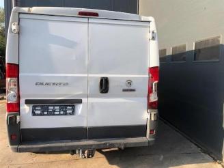 Fiat Ducato  picture 5