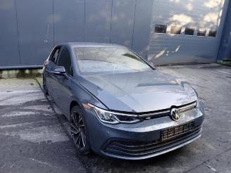Volkswagen Golf Golf VIII (CD1), Hatchback, 2019 2.0 TDI BlueMotion 16V picture 1