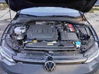 Volkswagen Golf Golf VIII (CD1), Hatchback, 2019 2.0 TDI BlueMotion 16V picture 12