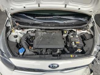 Kia Picanto Picanto (JA), Hatchback, 2017 1.0 12V picture 19