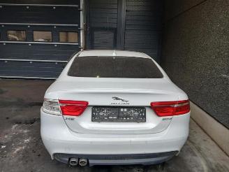 Jaguar XE XE, Sedan, 2015 2.0d 180 16V picture 2