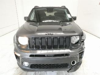 Jeep Renegade  picture 2