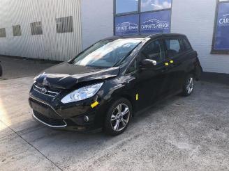 Ford Grand C-Max Grand C-Max (DXA), MPV, 2010 / 2019 1.0 Ti-VCT EcoBoost 12V 125 picture 2