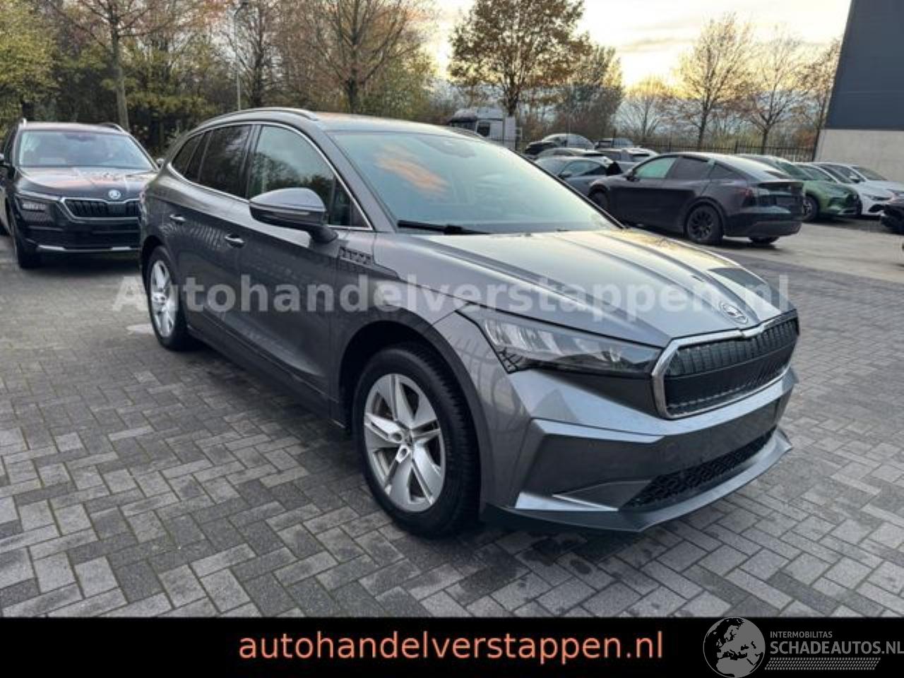 Skoda Enyaq 80 DAB+ Suite Convenience-Paket